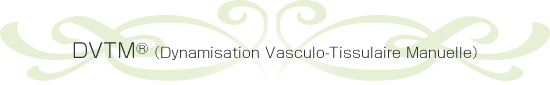 DVTM® iDynamisation Vasculo-Tissulaire Manuellej