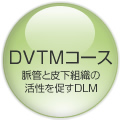 DVTMR[XiǂƔ牺gD̊𑣂DLMj